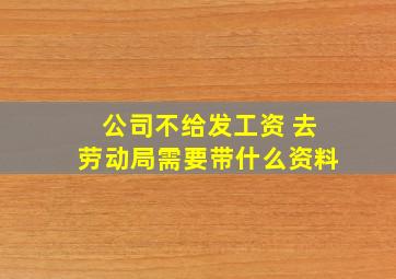 公司不给发工资 去劳动局需要带什么资料